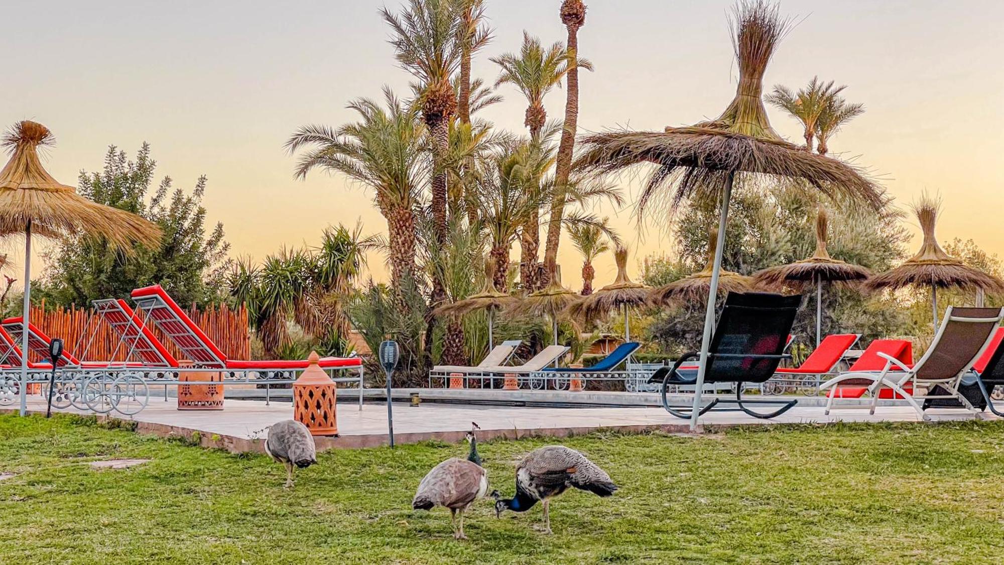 Le Bled De Gre Hotel El Makina Kültér fotó